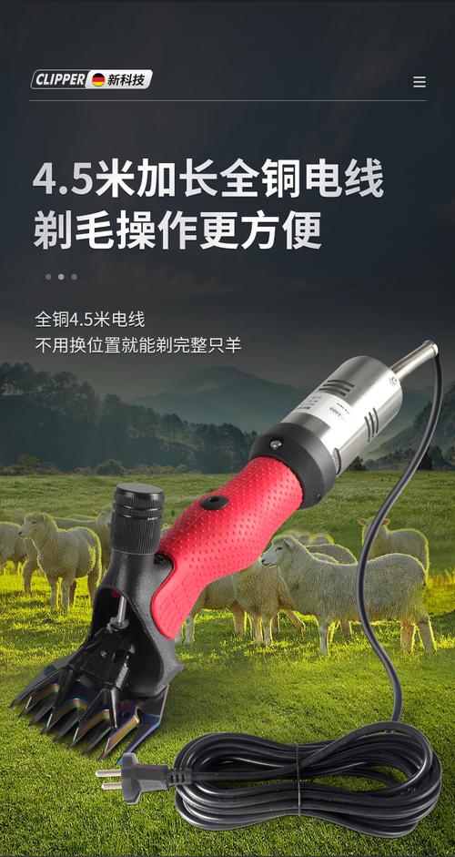 薅羊毛工具v7.0图标