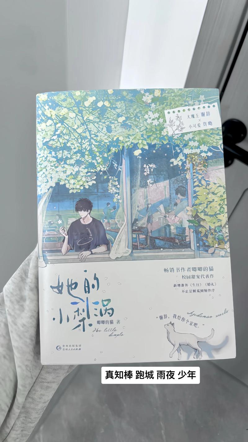 她的小梨涡 小说缩略图