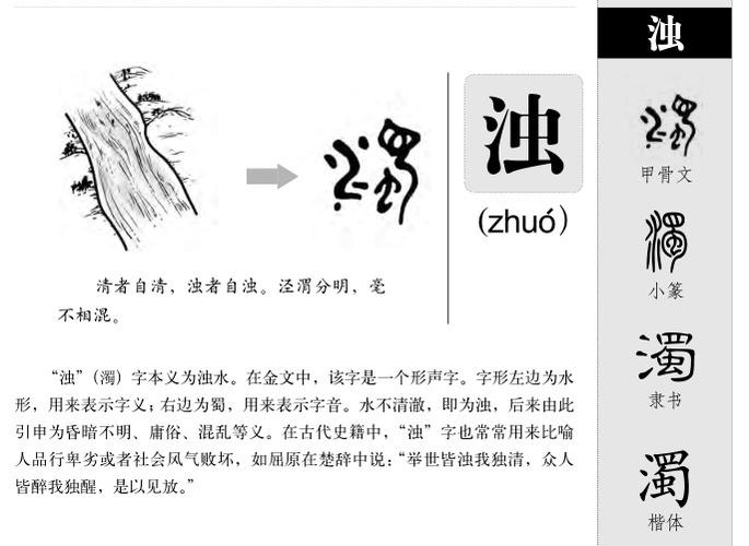 浊读什么拼音