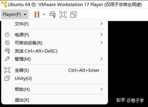 ubuntu网络连接正常但不能上网图标