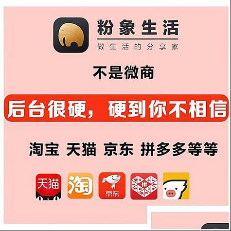 粉象生活打卡赚钱缩略图