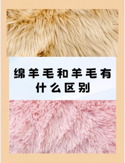 绵羊毛和纯羊毛区别缩略图