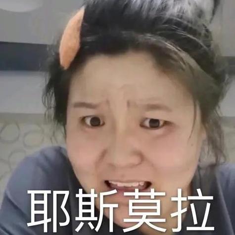 郭老师的表情包游戏截图