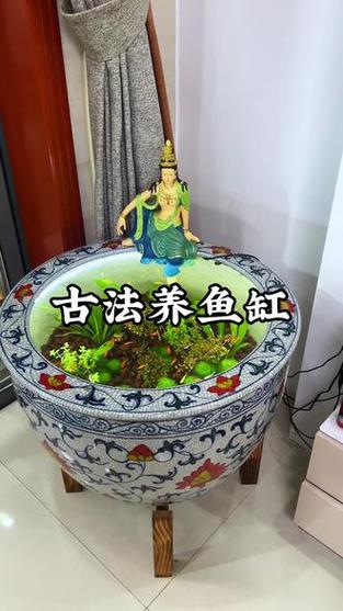 新手养鱼开缸养水的正确方法图标