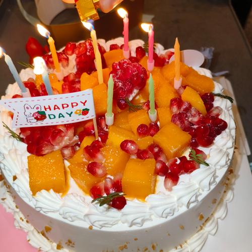 沙晨出生年月日