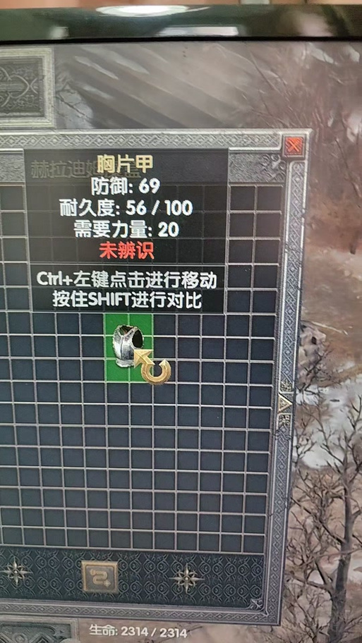 暗黑2箱子共用吗缩略图