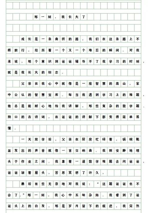 盛装莅临我的成长作文图标
