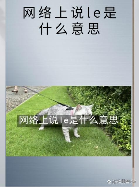 le网络语是什么意思