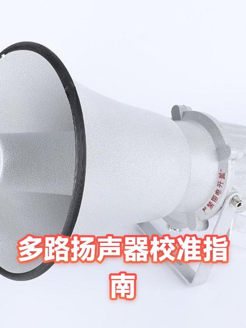 iPhone11扬声器回声