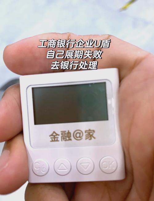 企业u盾怎样自助展期