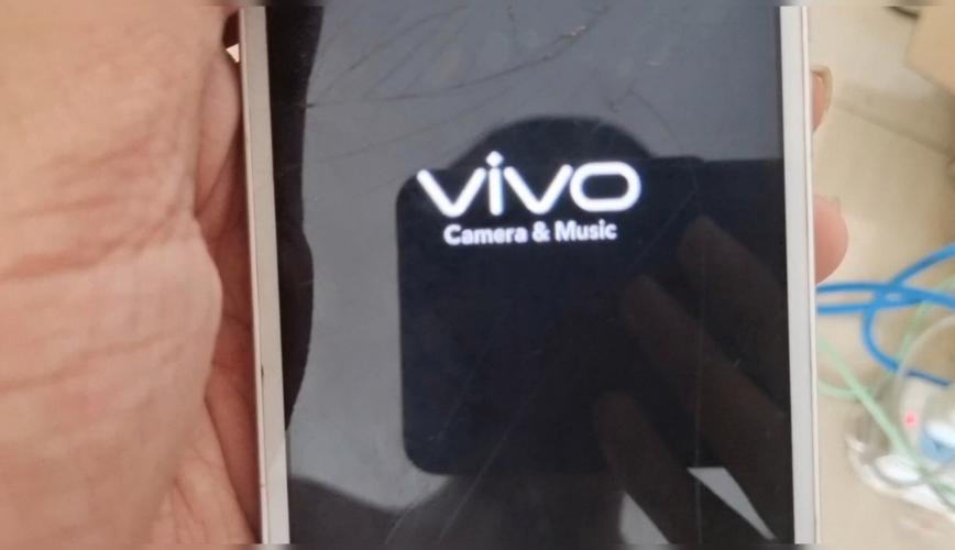vivo手机开机一直停留在开机画面游戏截图