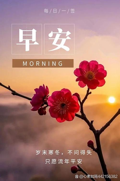 安慰朋友情绪低落的暖心句子游戏截图