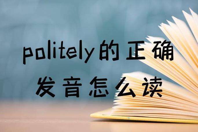 politely名词