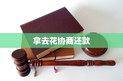 拿去花如何还款图标