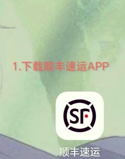 www.1008656.com查询运单图标