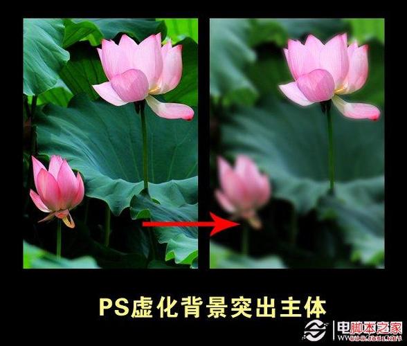 相机周围虚化怎么调回正常