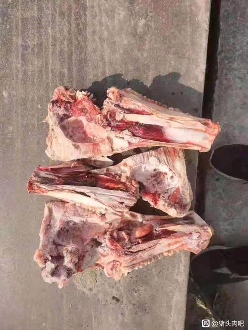 哪里有收购骨头的地方