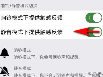 苹果怎么静音模式不震动缩略图