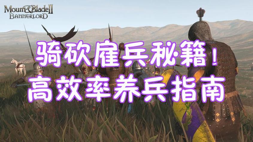 骑马与砍杀有必要买正版吗