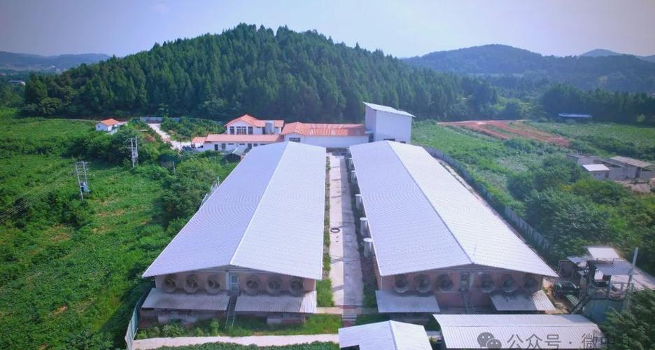 最凶猛的养殖基地公司