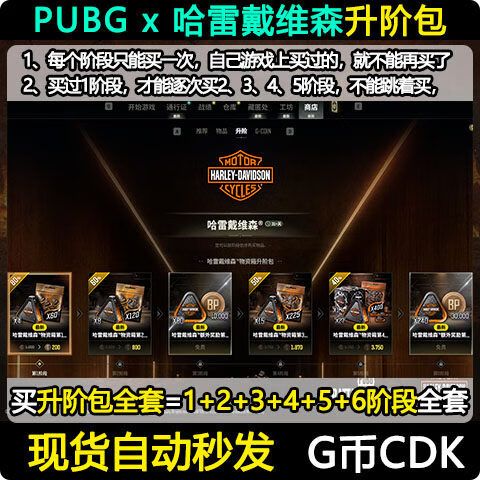 绝地PUBG体验服缩略图