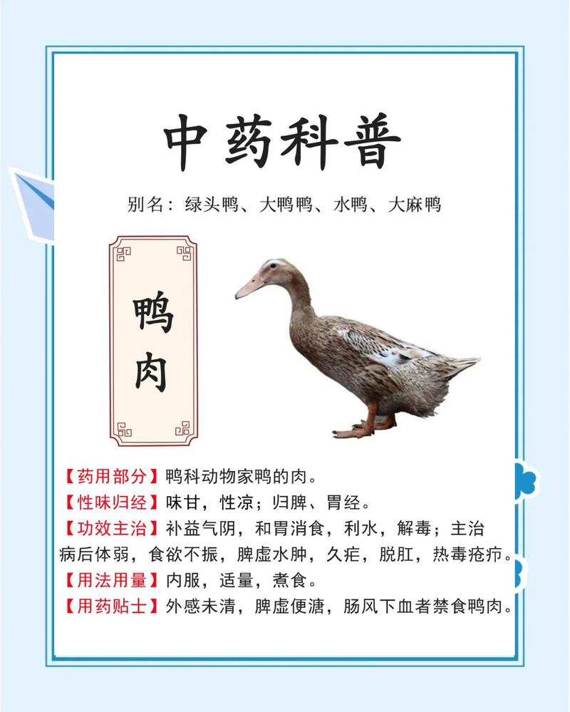 鸭肉有点臭了怎么补救图标