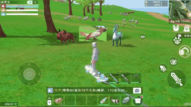 创造与魔法鸟位置必刷