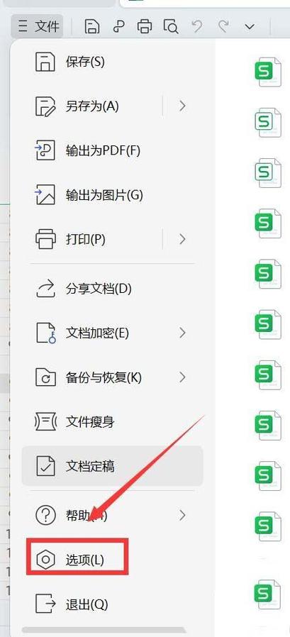 wps怎么启用宏功能图标
