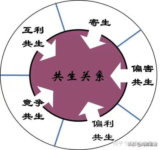 恋人关系超过6级就不解绑了吗