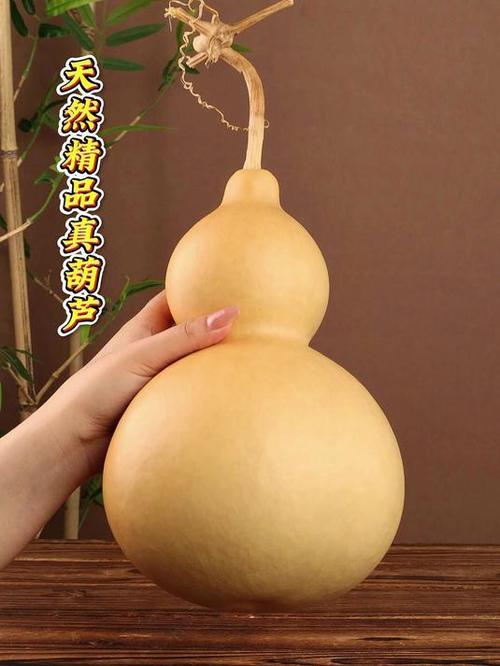 葫芦视频app 16款应用
