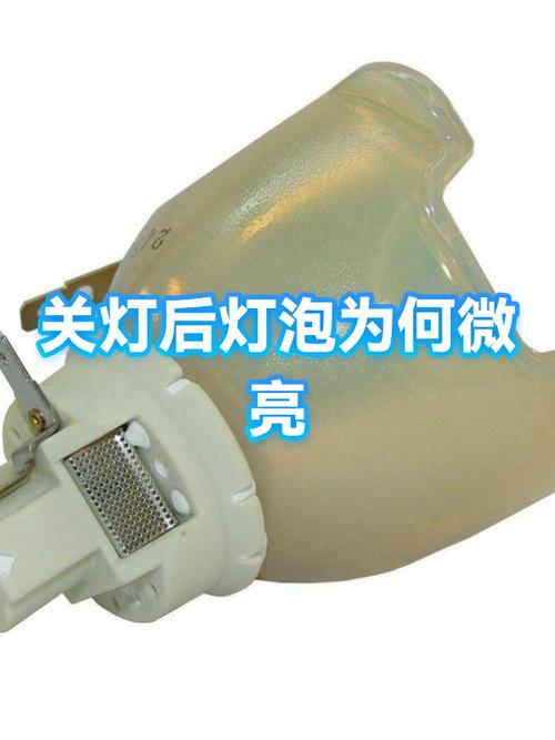 关掉开关灯泡一直暗亮的原因游戏截图