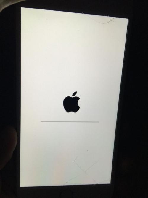 ipad一直白苹果闪屏