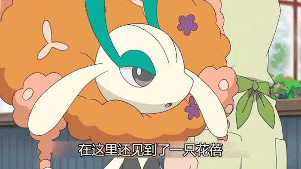 花蓓蓓进化顺序图