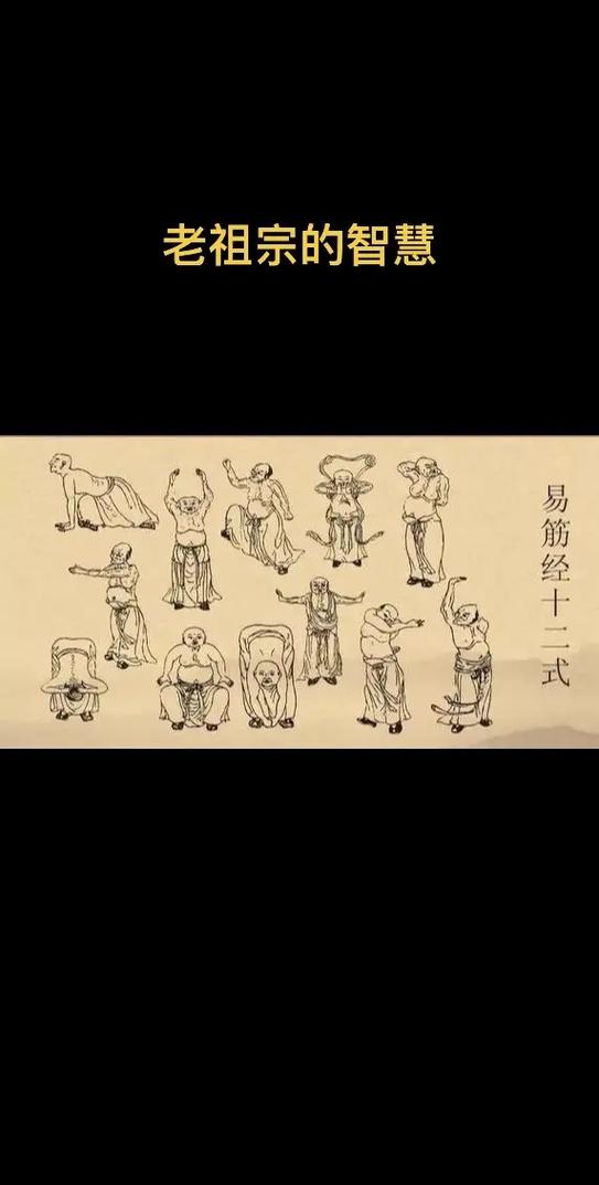 易经筋全套教学视频图标