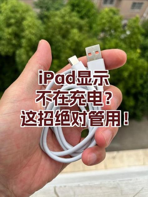 ipad9代充电显示不在充电游戏截图