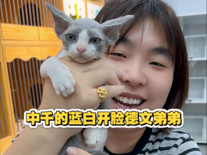 蓝白开脸多少钱图标