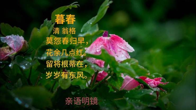 暮春清·翁格缩略图