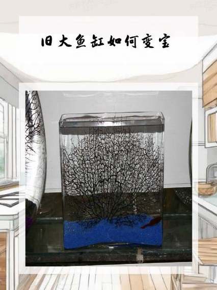 扔旧鱼缸的正确方法