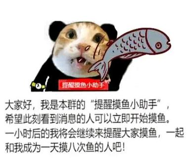 摸鱼工作室
