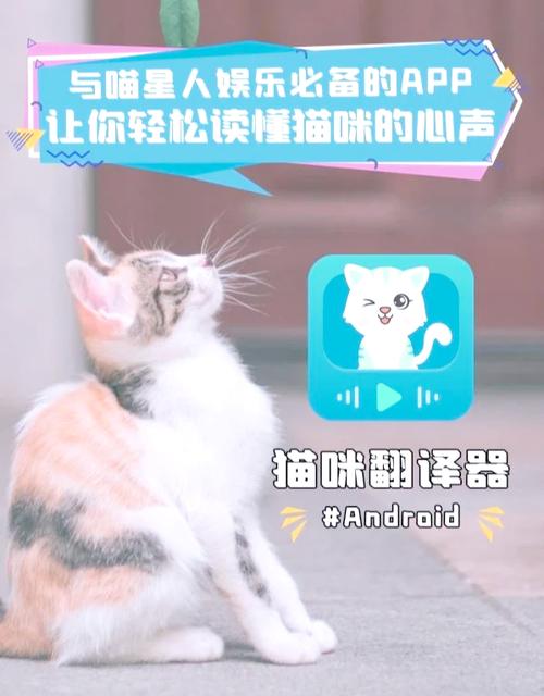 猫猫语言翻译器缩略图