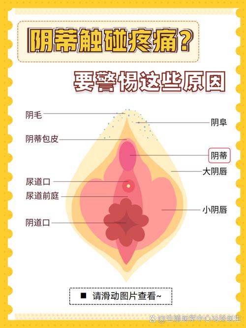 阴桃风险游戏截图