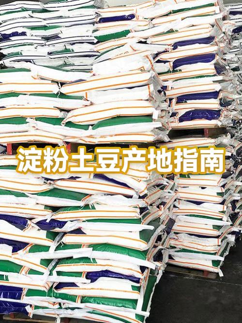 土豆淀粉生产厂家电话游戏截图