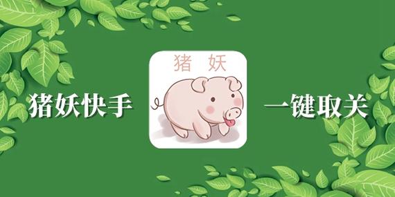 猪妖一键取关快手软件缩略图