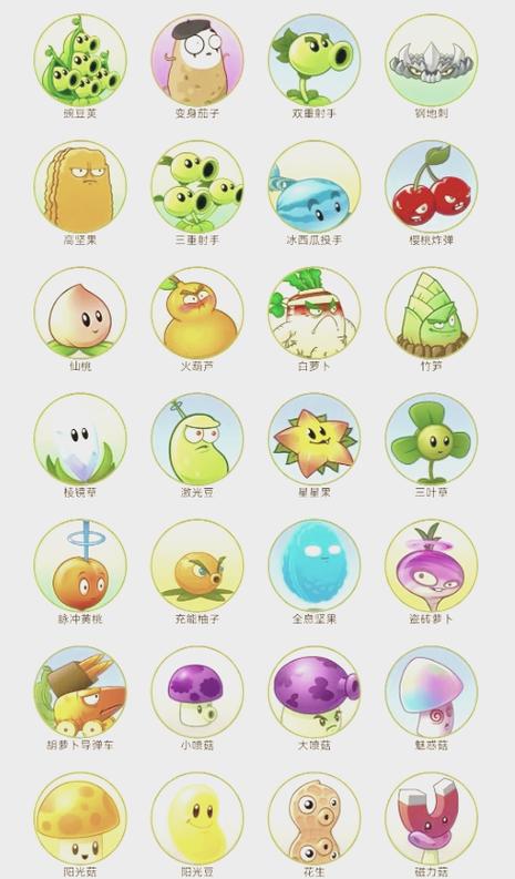 植物大战僵尸2全植物全5阶大全缩略图