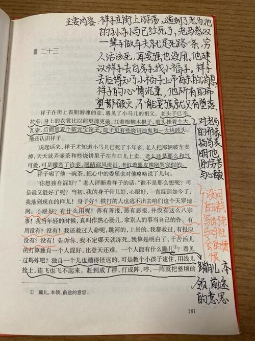 word文档打开后总是显示批注图标