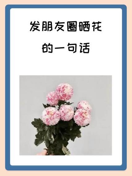 收到儿子送的花如何晒朋友圈