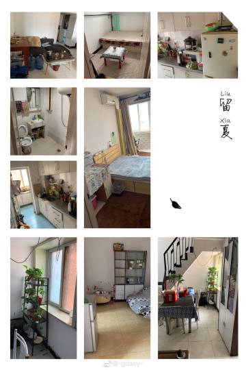 租房大师游戏介绍缩略图