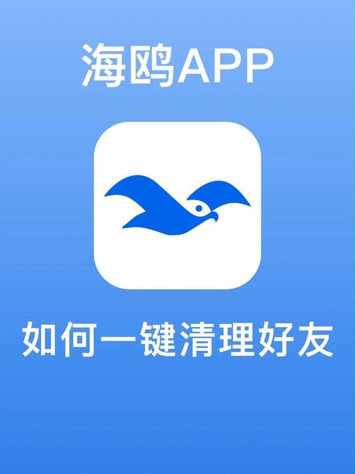 海鸥聊天软件缩略图