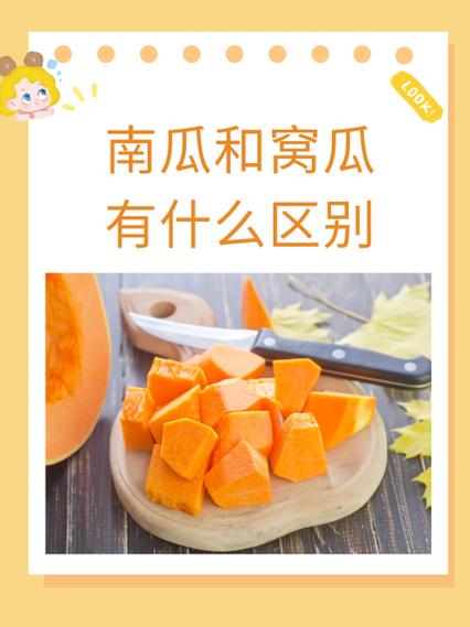 南瓜别称介绍