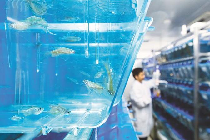 水族研究所缩略图